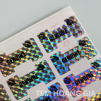 in-tem-hologram