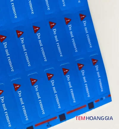 TEM NHAN BAO MAT DAN CAMERA (1)